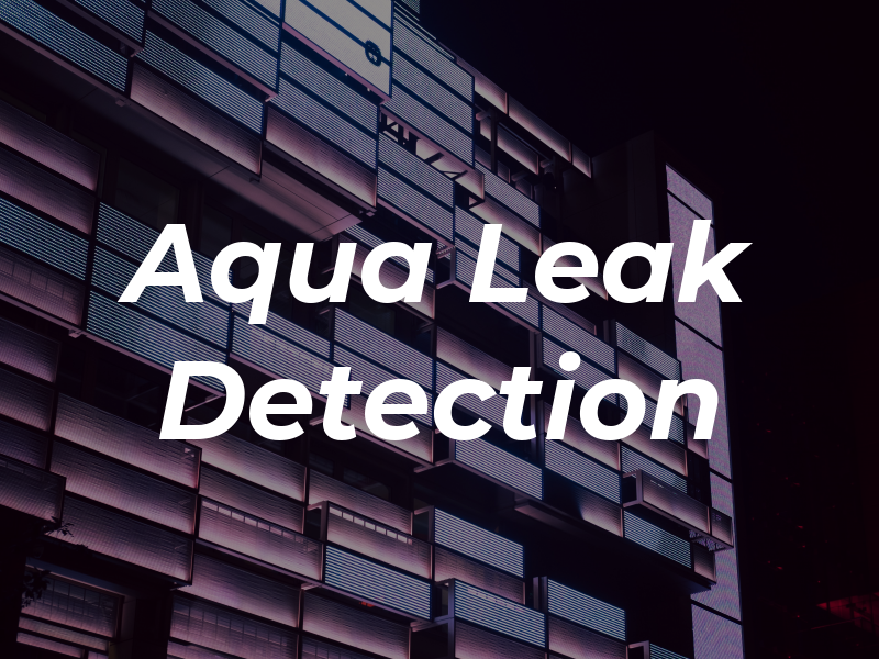Aqua Bee Leak Detection LLC
