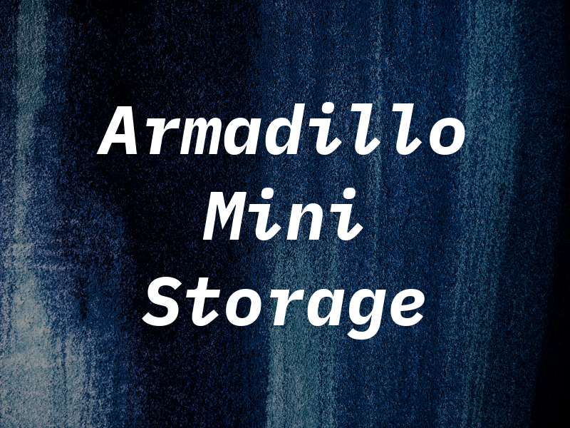 Armadillo Mini Storage