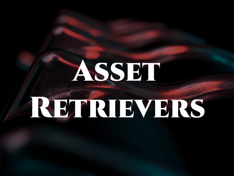 Asset Retrievers