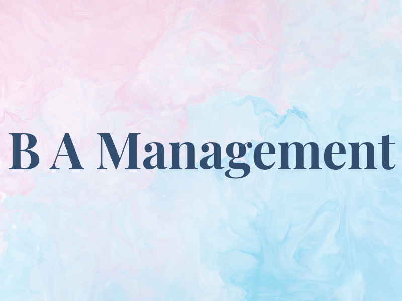 B A Management