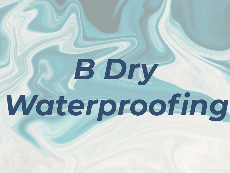 B Dry Waterproofing