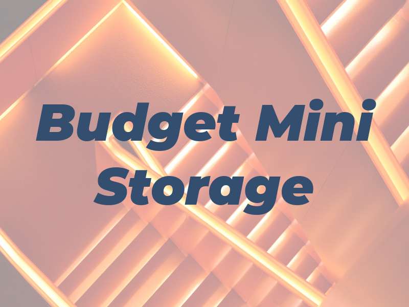 Budget Mini Storage