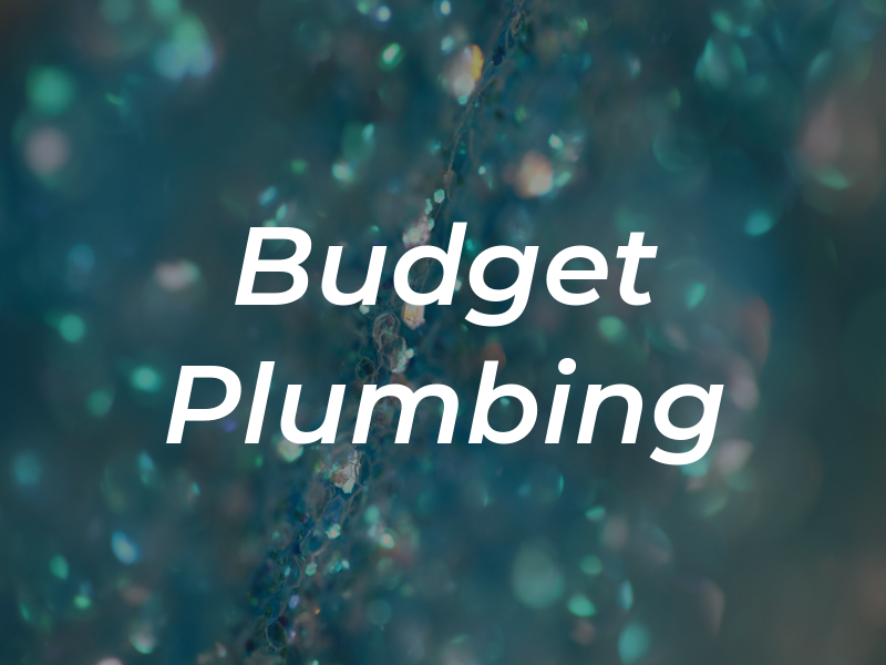 Budget Plumbing