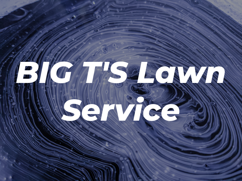 BIG T'S Lawn Service