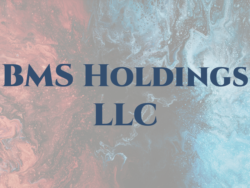 BMS Holdings LLC
