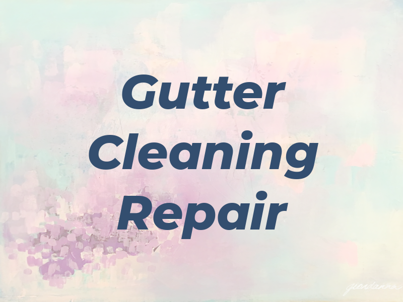 BS Gutter Cleaning & Repair