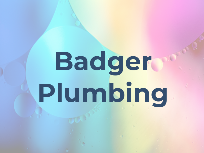 Badger Plumbing