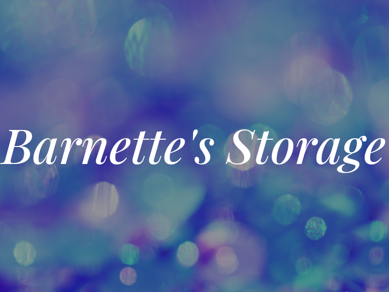 Barnette's Storage