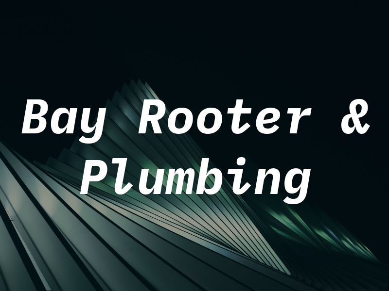 Bay Rooter & Plumbing