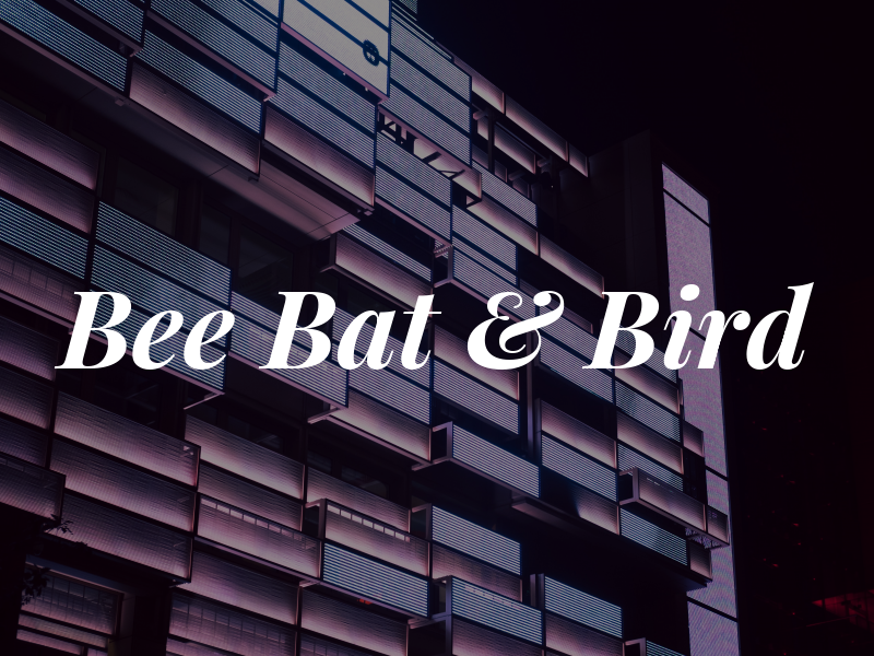 Bee Bat & Bird