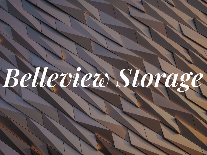 Belleview Storage