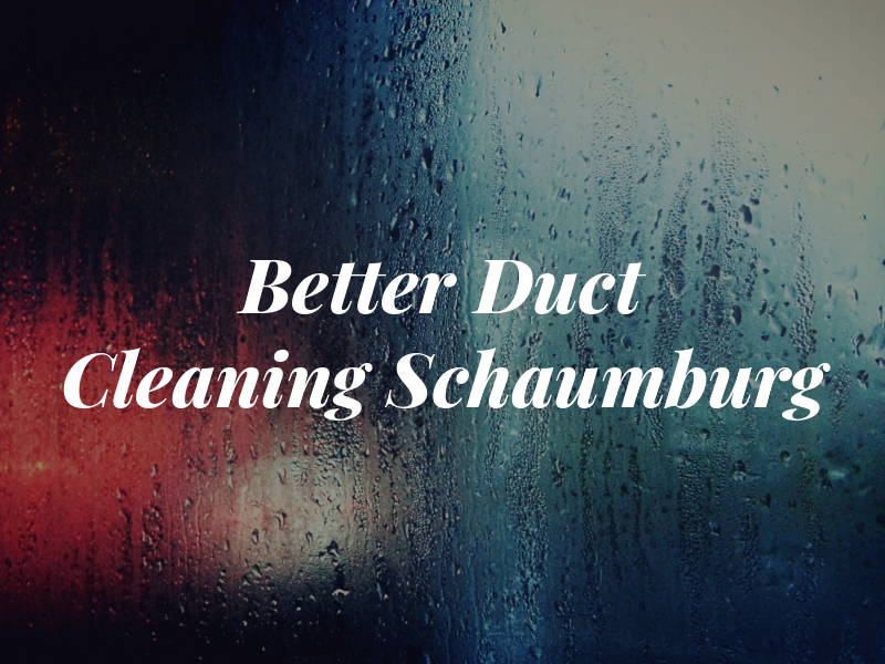 Better Air Duct Cleaning Schaumburg