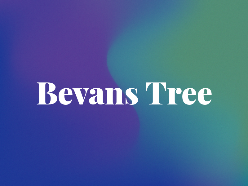 Bevans Tree