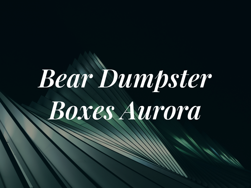 Big Bear Dumpster Boxes Aurora