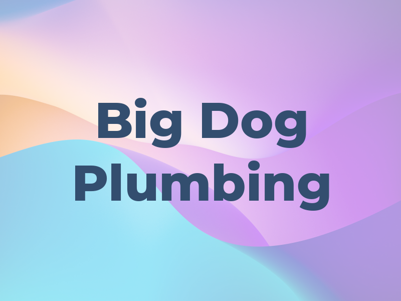 Big Dog Plumbing