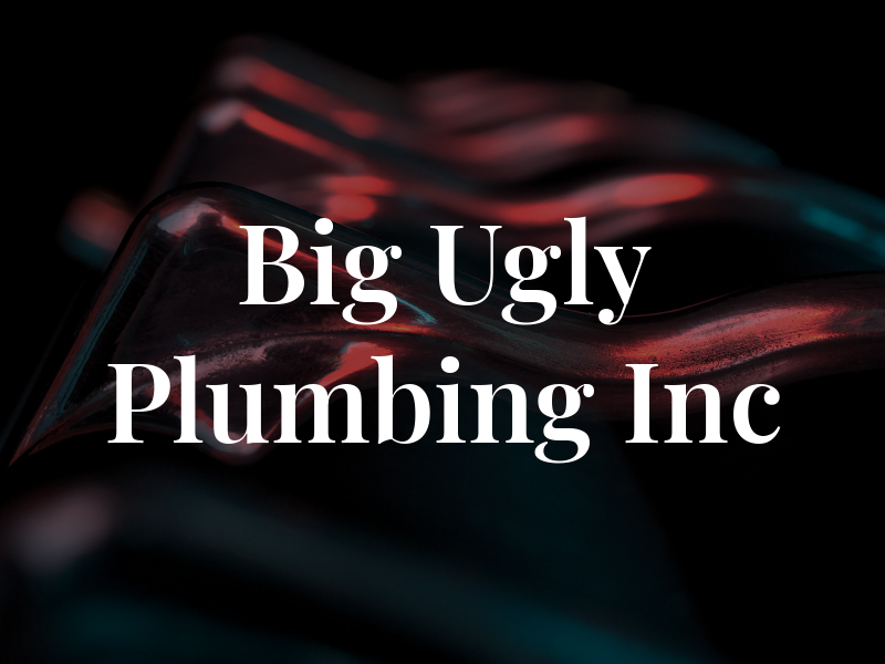 Big Ugly Plumbing Inc