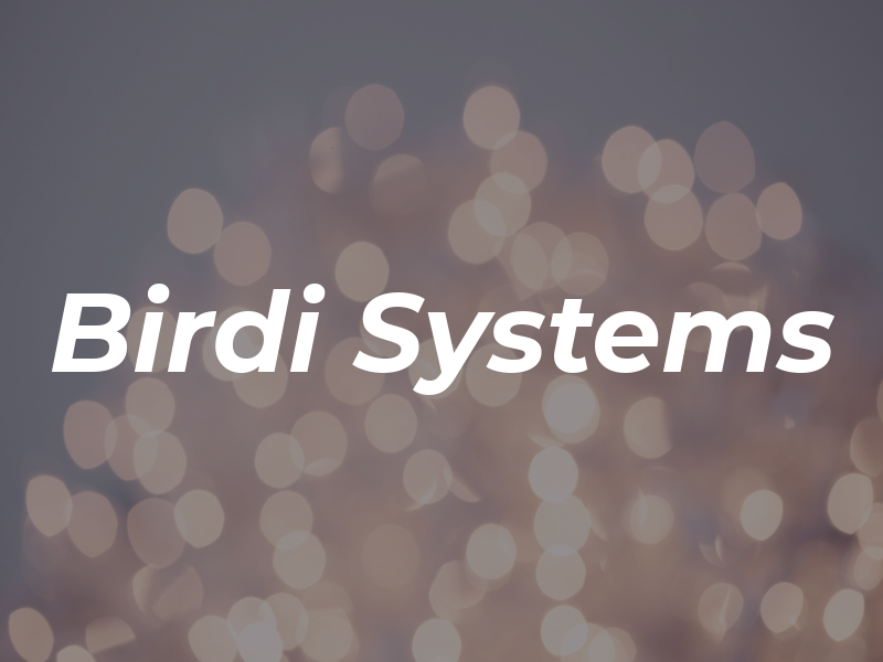 Birdi Systems