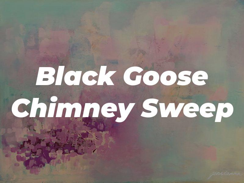 Black Goose Chimney Sweep