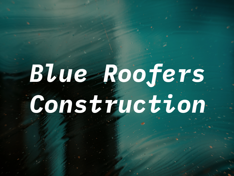 Blue Sky Roofers & Construction