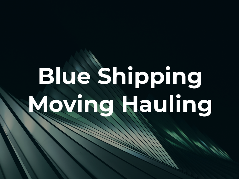 Blue Sky Shipping Moving & Hauling