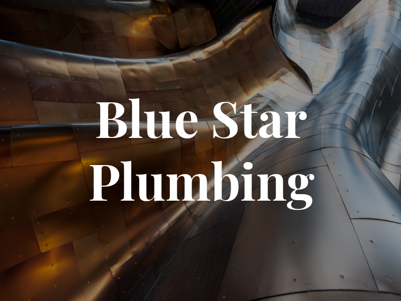 Blue Star Plumbing