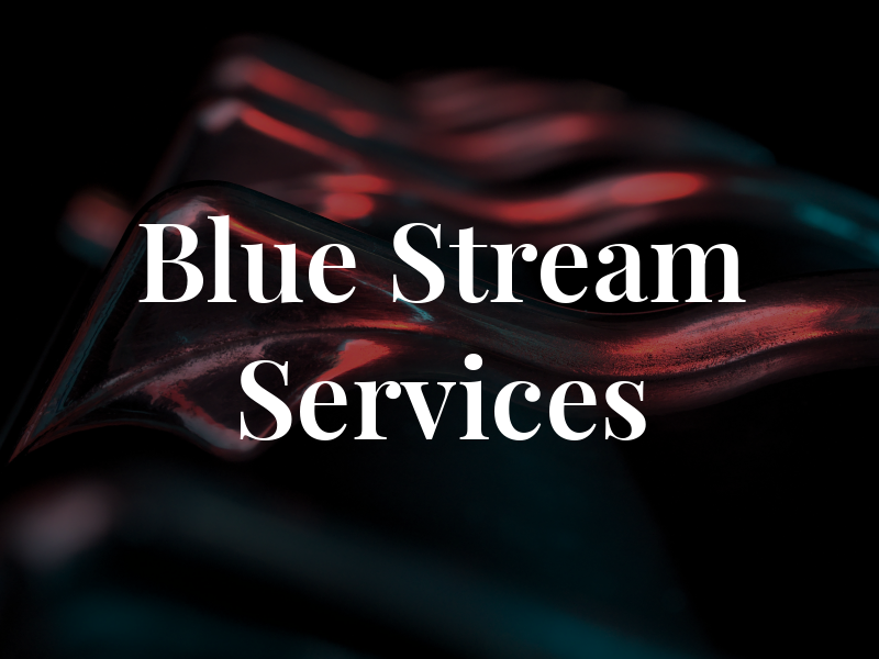 Blue Stream Services Inc