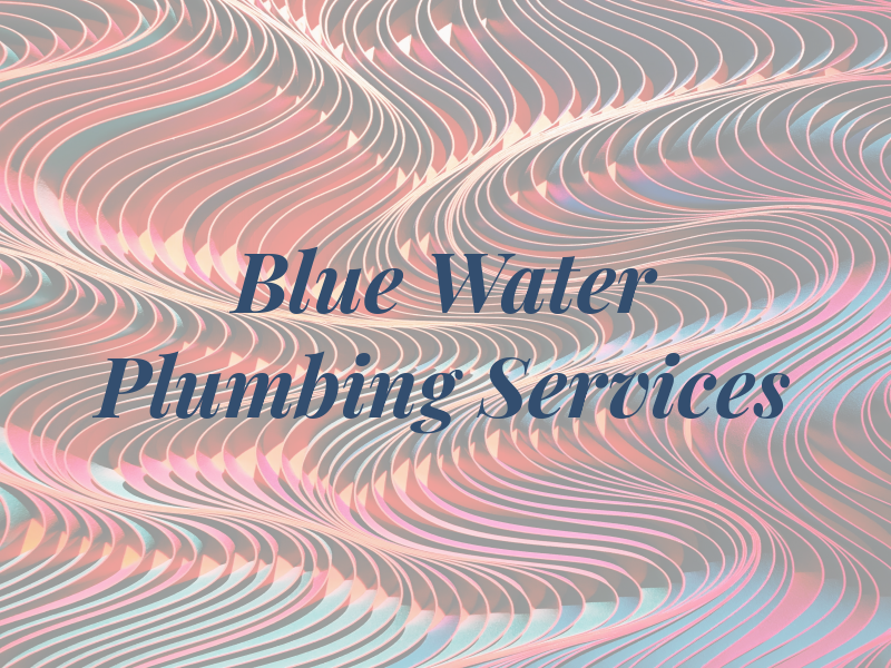 Blue Water Plumbing Services