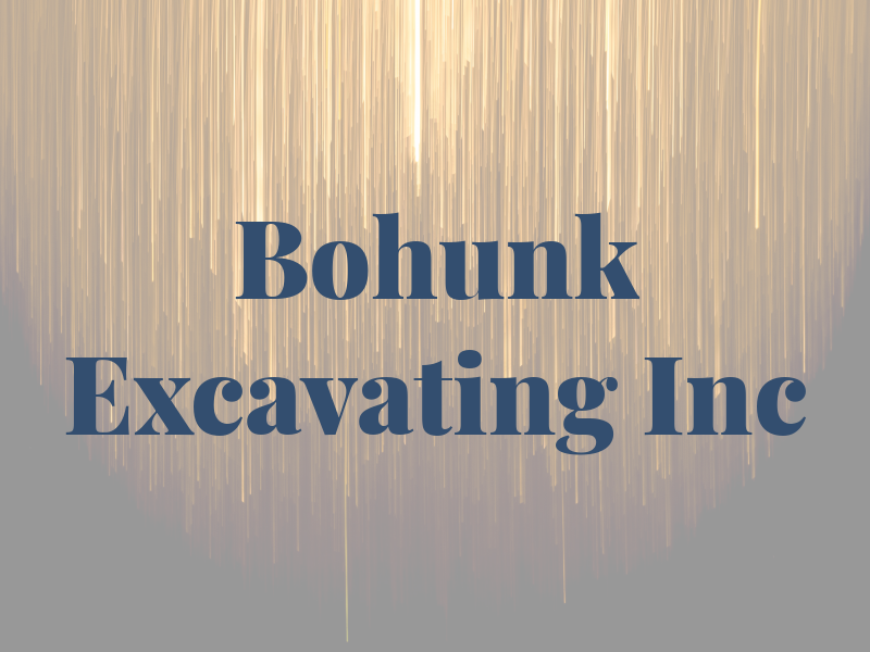 Bohunk Excavating Inc