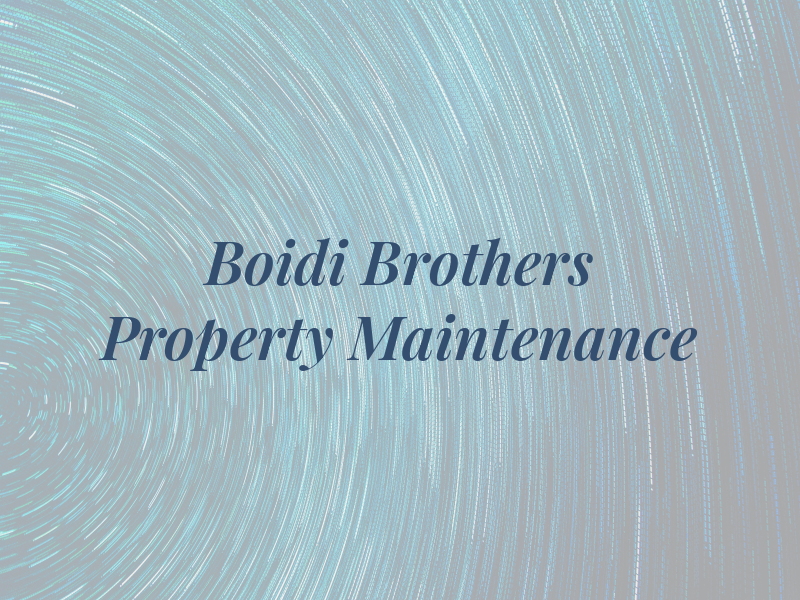 Boidi Brothers Property Maintenance