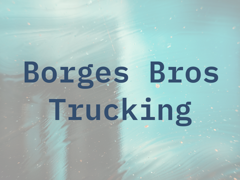 Borges Bros Trucking Inc