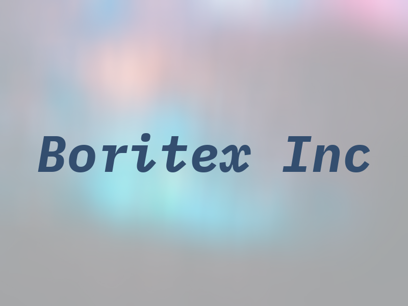 Boritex Inc