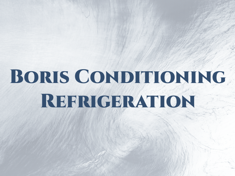 Boris Air Conditioning & Refrigeration SE