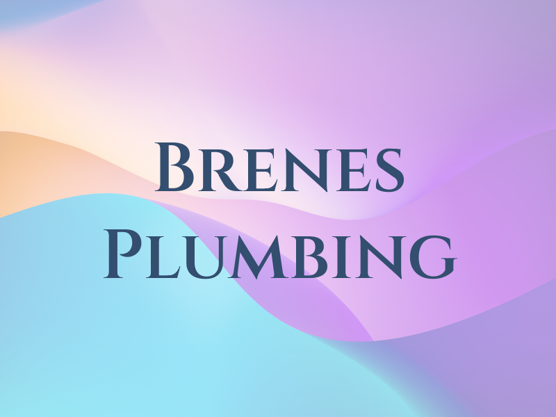 Brenes Plumbing