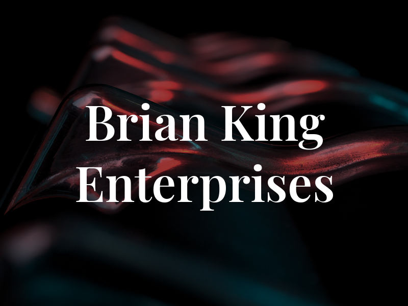 Brian King Enterprises Inc