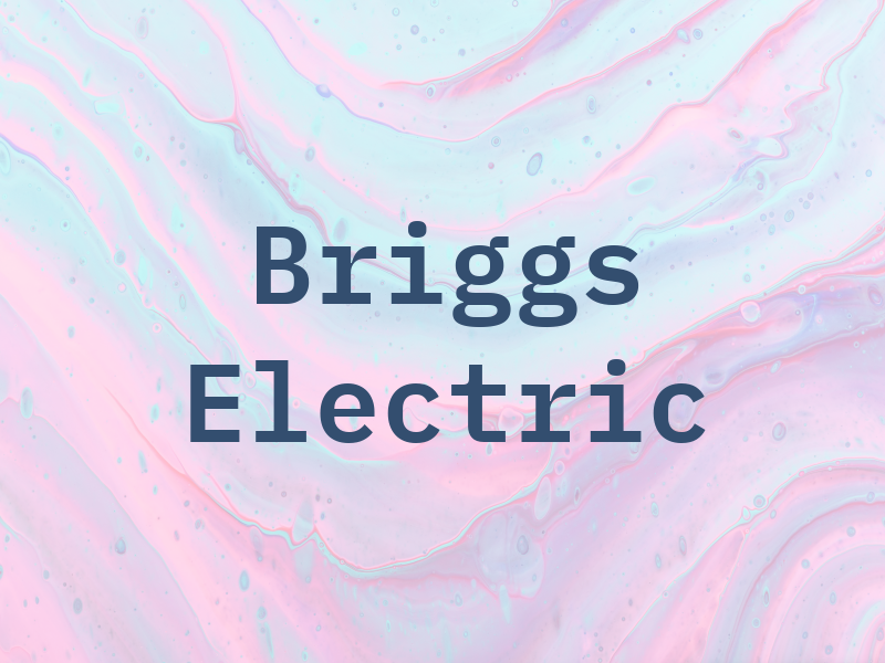 Briggs Electric