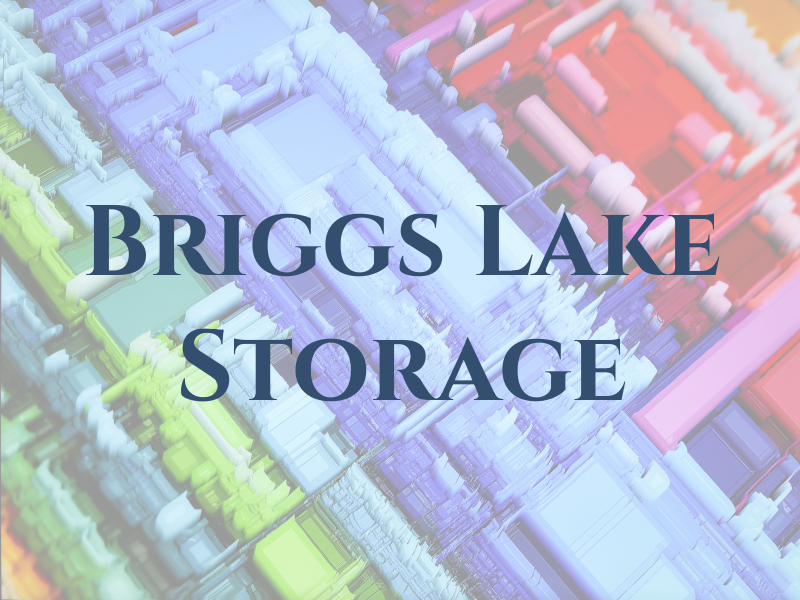 Briggs Lake Storage