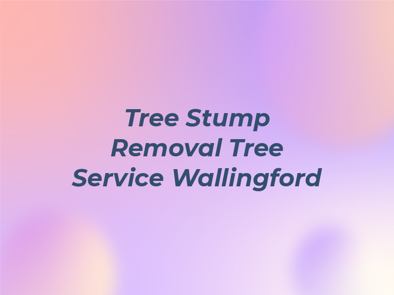 CT Tree Stump Removal Tree Service Wallingford