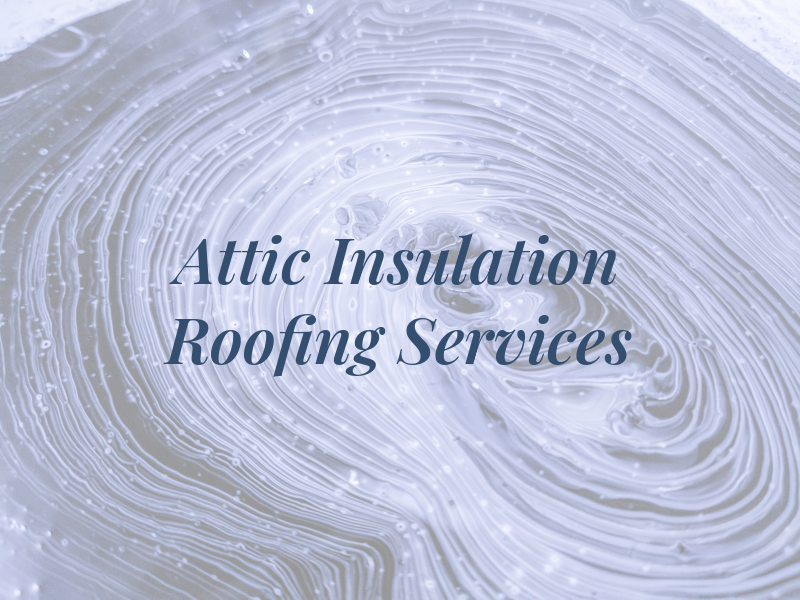 CXS Attic Insulation & Roofing Services Inc