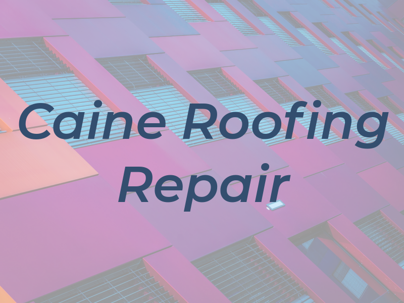 Caine Roofing & Repair