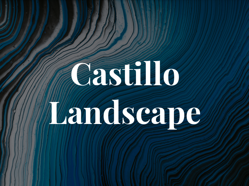 Castillo Landscape