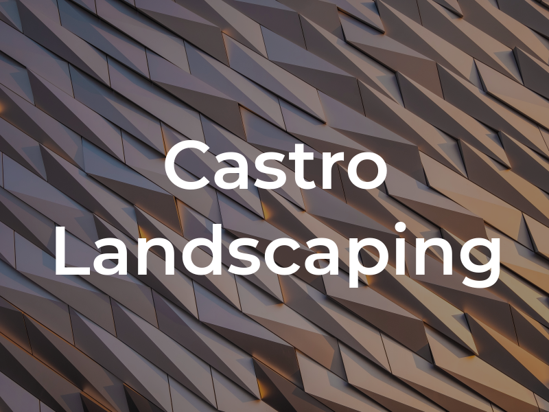 Castro Landscaping