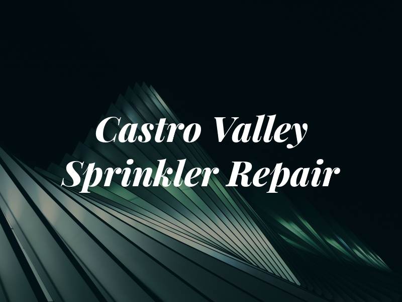 Castro Valley Sprinkler Repair