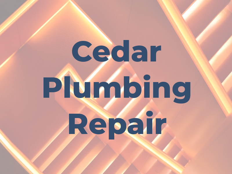Cedar Plumbing Repair
