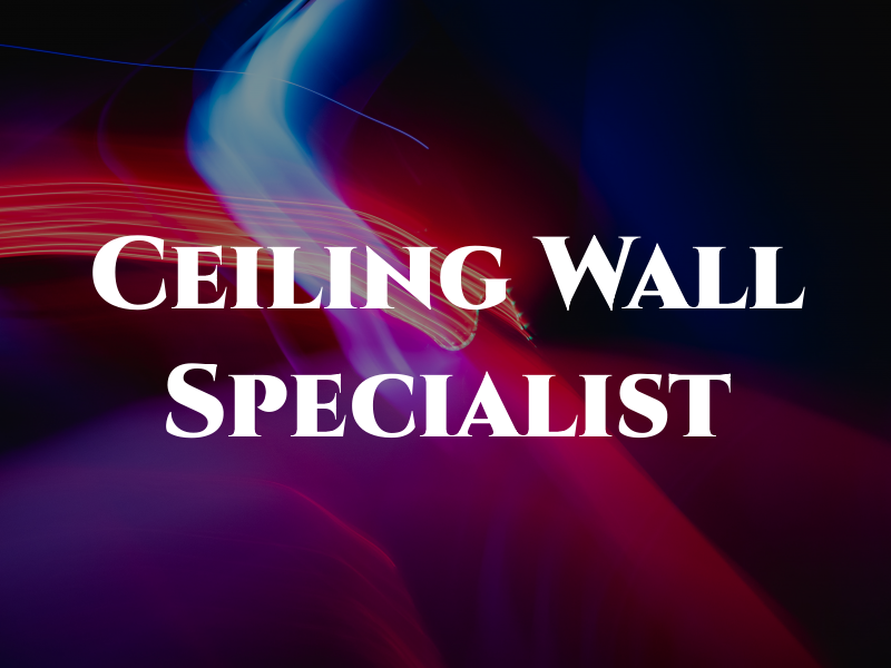 Ceiling & Wall Specialist