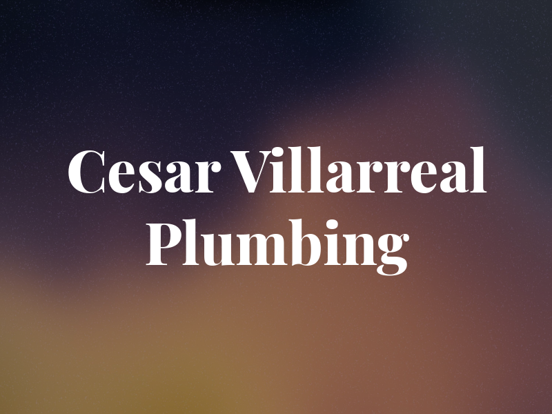 Cesar Villarreal Plumbing Inc