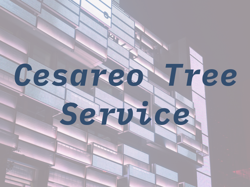 Cesareo Tree Service