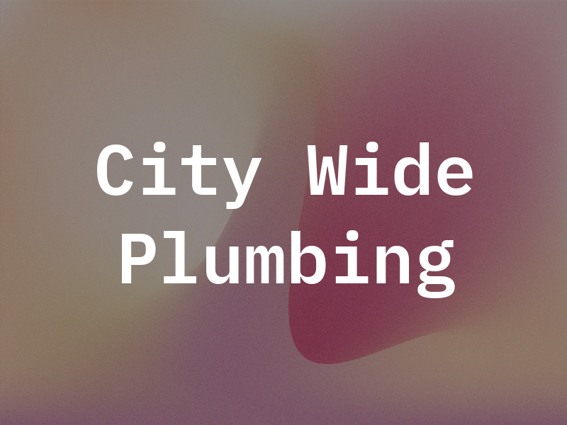 City Wide Pro Plumbing