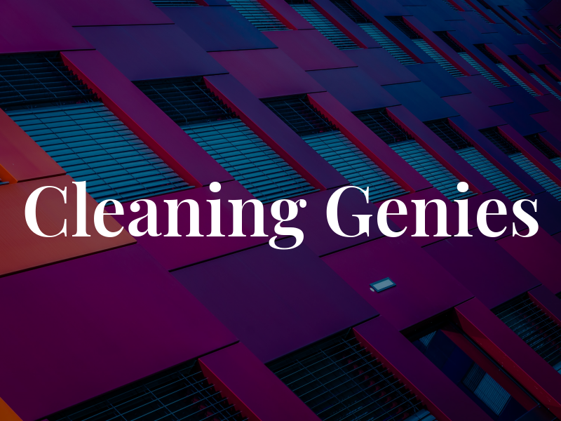 Cleaning Genies