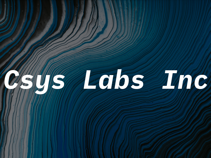 Csys Labs Inc