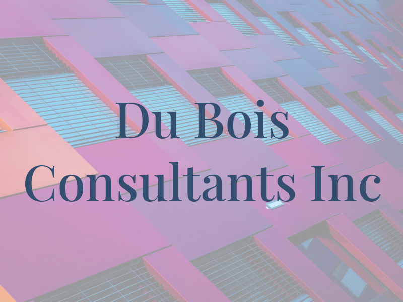 Du Bois Consultants Inc